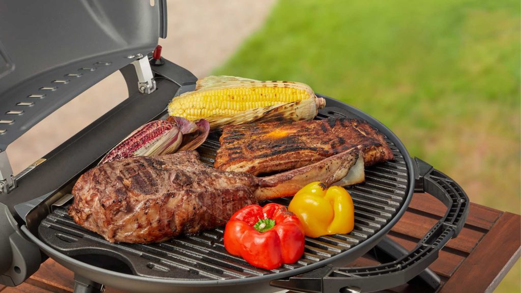 Portable Gas Grills- Butane Grills to do Barbecuing Outdoor