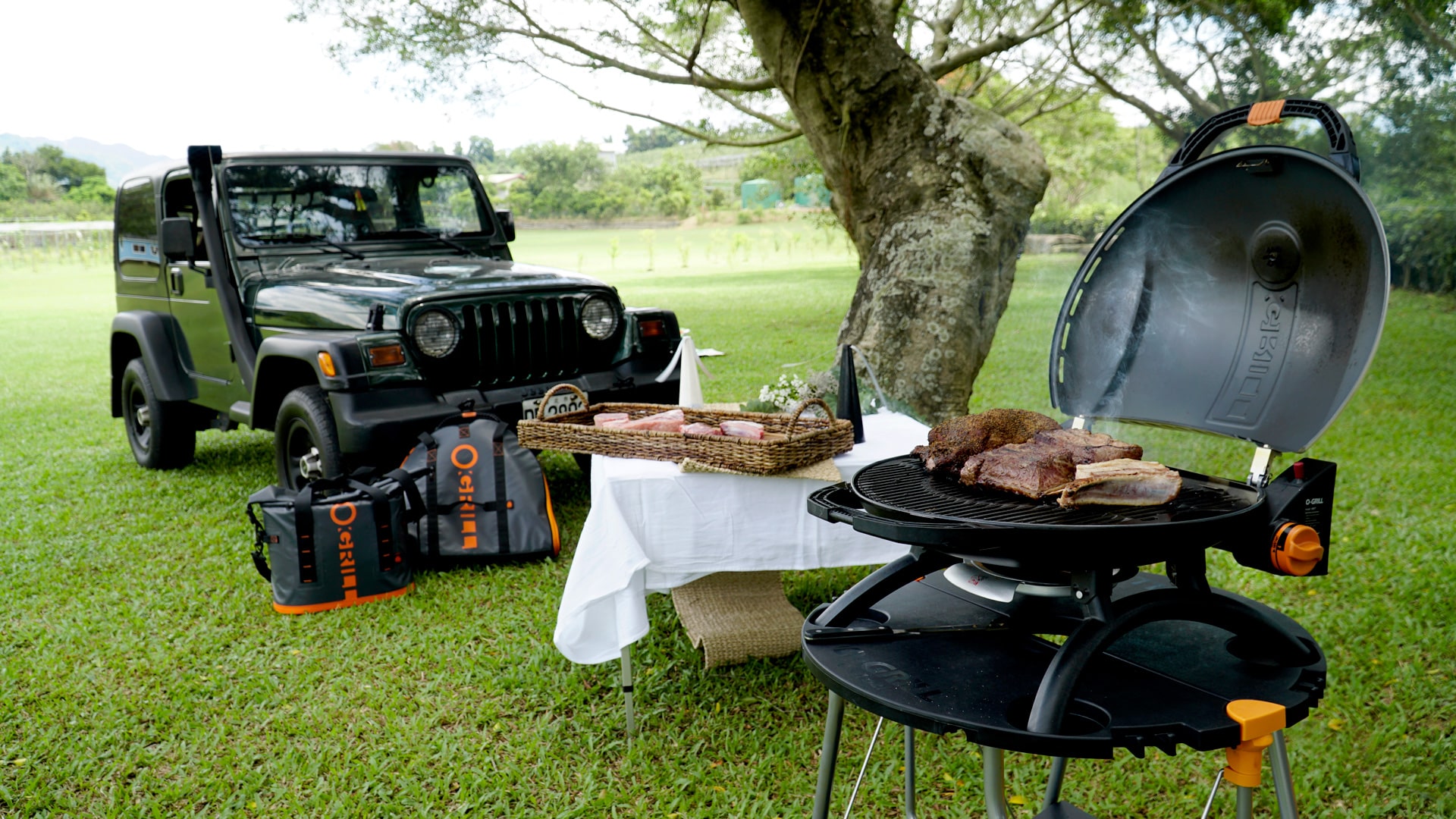 Portable Gas Grills